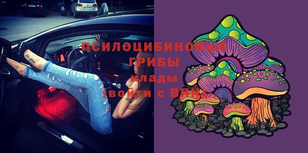 марки lsd Богданович